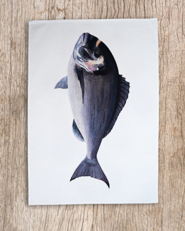 varek.illustrations - Lot de 3 Torchons 100% coton : Les poissons de nos côtes