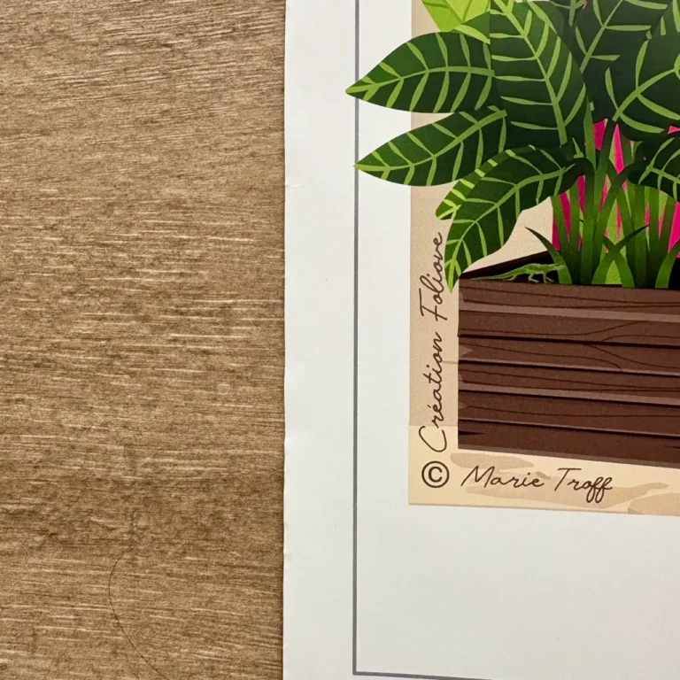 Foliove - Affiche Collioure Quartier du Mouré (édition imparfaite 50x70 cm)