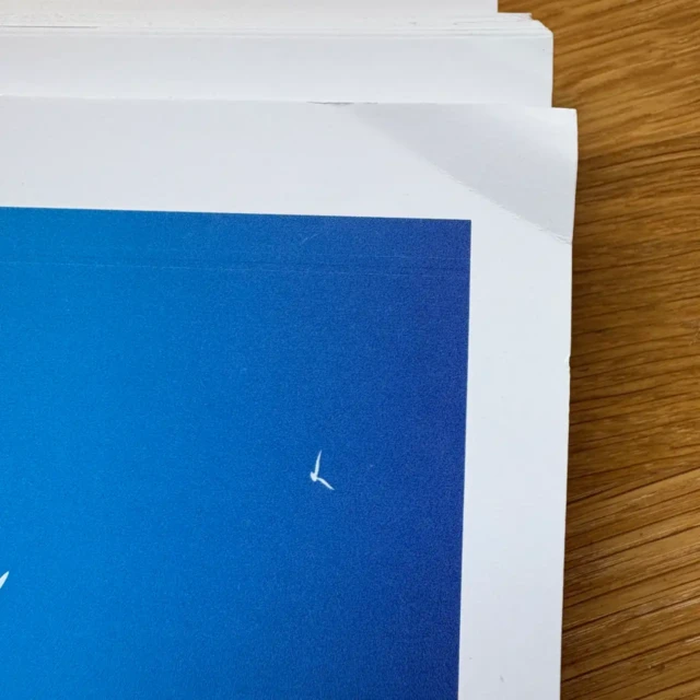 Foliove - Affiche Phare de la Coubre (édition imparfaite 30x42cm)