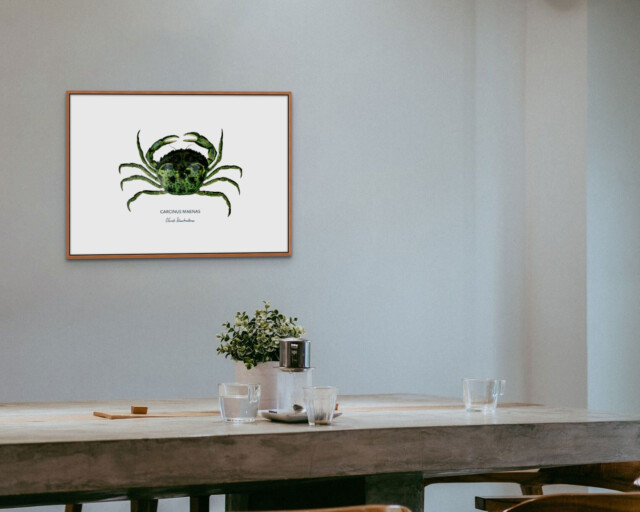 varek.illustrations - Affiche Le Crabe Vert