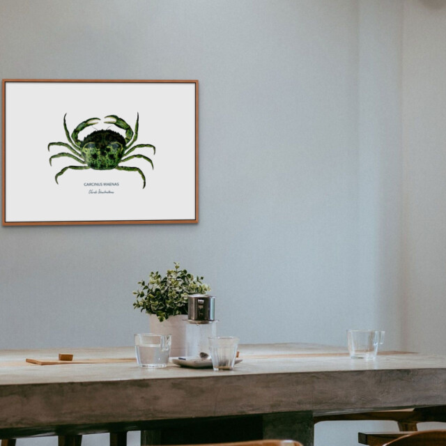 varek.illustrations - Affiche Le Crabe Vert