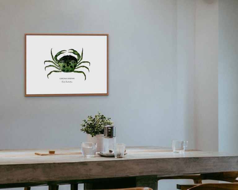 varek.illustrations - Affiche Le Crabe Vert