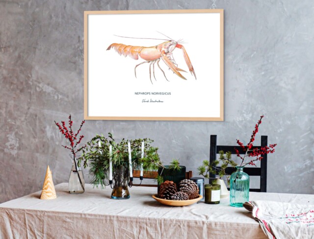 varek.illustrations - Affiche La Langoustine