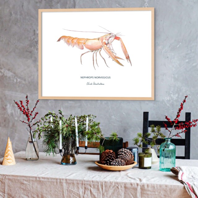 varek.illustrations - Affiche La Langoustine