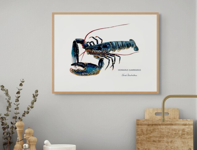 varek.illustrations - Affiche Le Homard