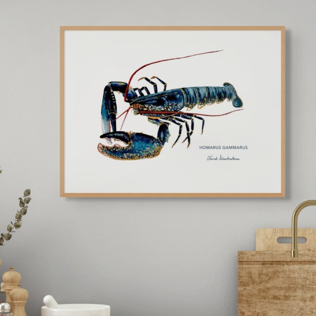 varek.illustrations - Affiche Le Homard