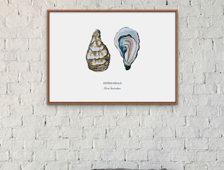 varek.illustrations - Affiche L'huître