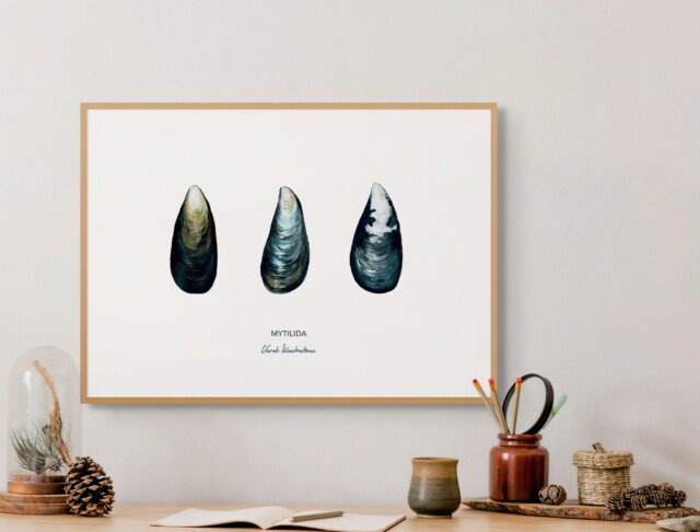 varek.illustrations - Affiche La Moule