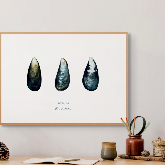 varek.illustrations - Affiche La Moule