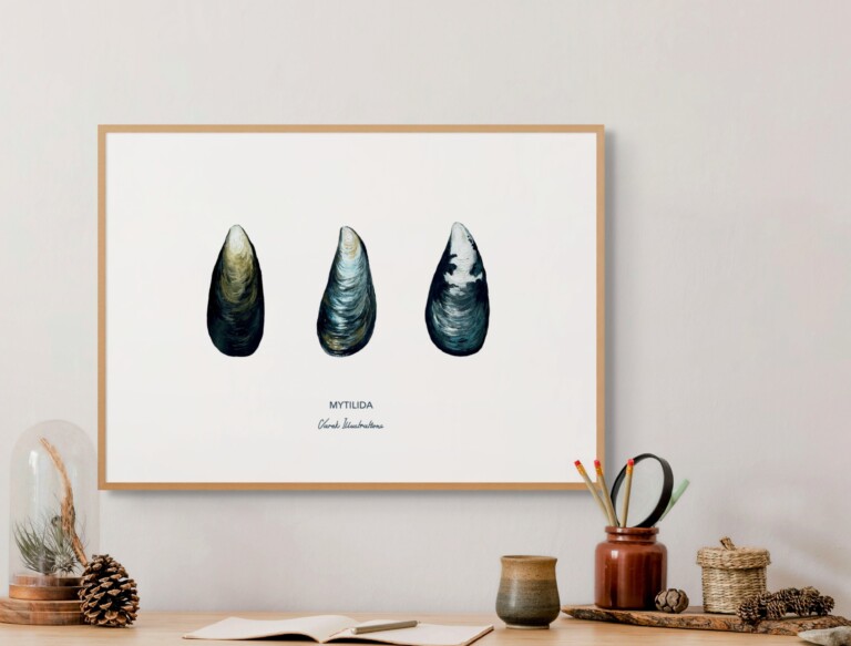 varek.illustrations - Affiche La Moule