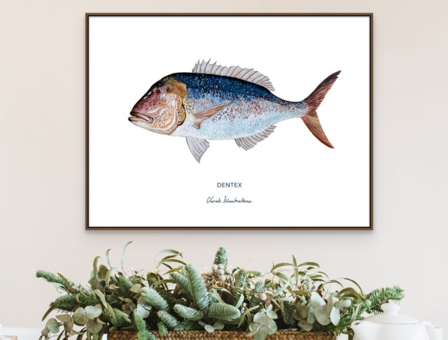 varek.illustrations - Affiche Le Denti