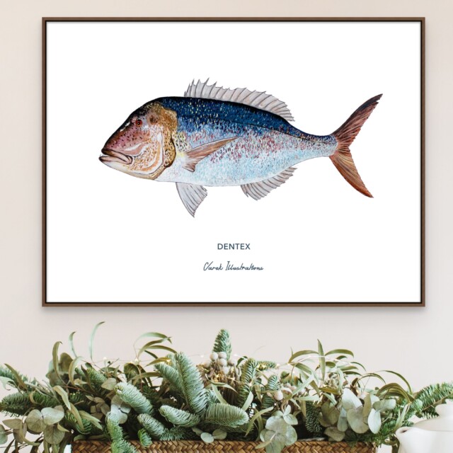 varek.illustrations - Affiche Le Denti