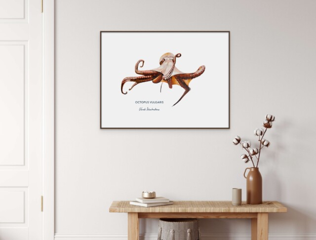varek.illustrations - Affiche Le Poulpe