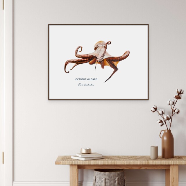 varek.illustrations - Affiche Le Poulpe
