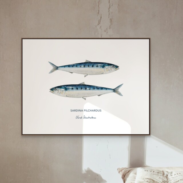 varek.illustrations - Affiche Les Sardines