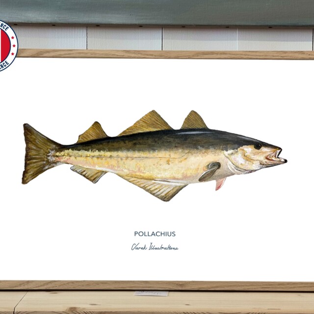 varek.illustrations - Affiche Le Lieu Jaune