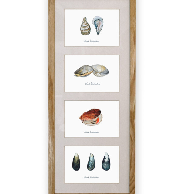 varek.illustrations - Quatuor 20x50 cm : Le plateau de fruits de mer