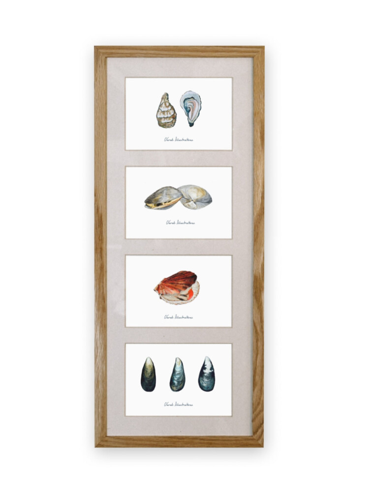 varek.illustrations - Quatuor 20x50 cm : Le plateau de fruits de mer