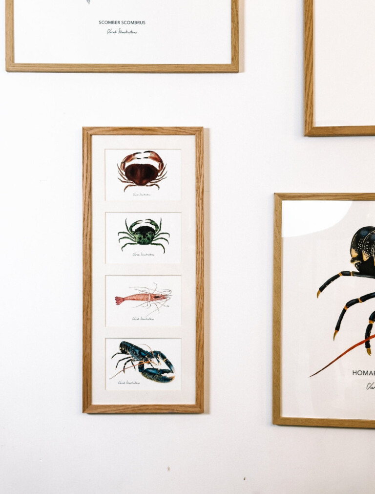 varek.illustrations - Quatuor 20x50 cm : Les Crustacés de la Marée