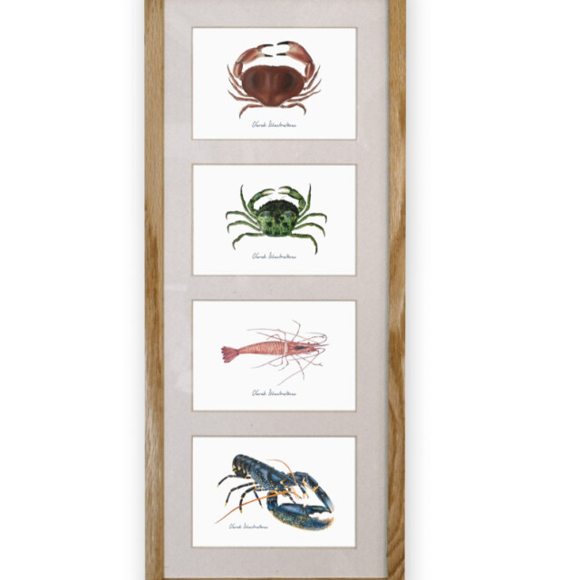 varek.illustrations - Quatuor 20x50 cm : Les Crustacés de la Marée