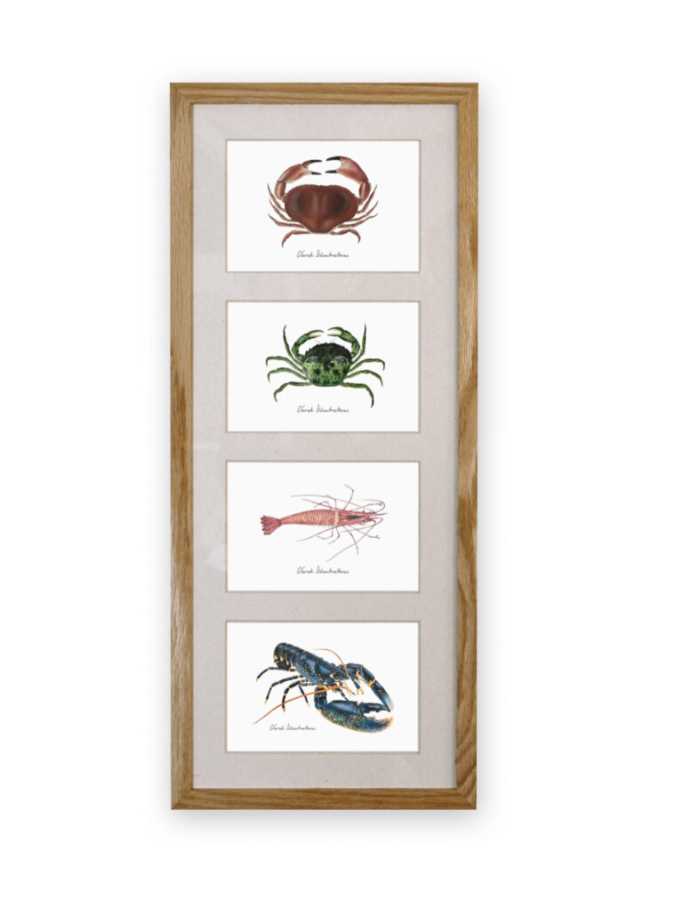 varek.illustrations - Quatuor 20x50 cm : Les Crustacés de la Marée