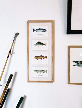 Varek Illustrations - Quatuor 20×50 cm : Les Poissons d’eau douce