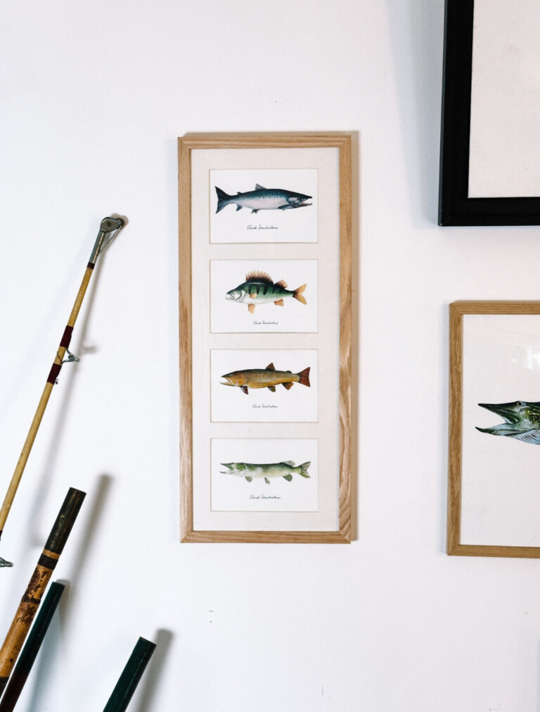varek.illustrations - Quatuor 20x50 cm : Les Poissons d'eau douce
