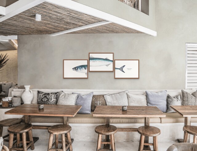 varek.illustrations - Triptyque Maquereau