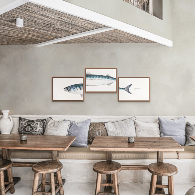 varek.illustrations - Triptyque Maquereau