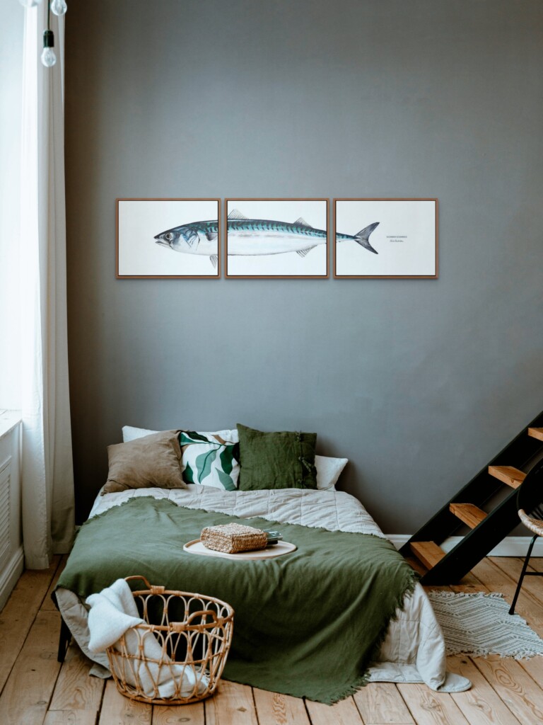 varek.illustrations - Triptyque Maquereau