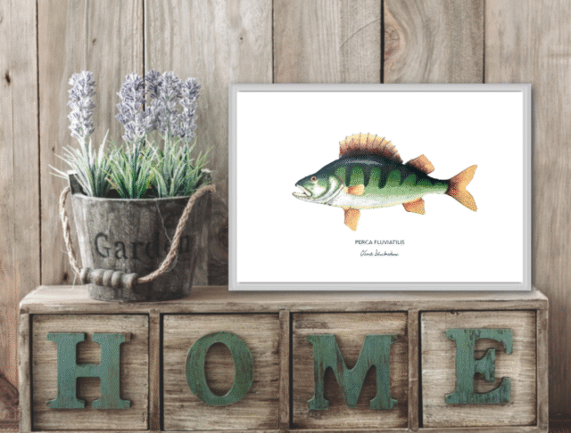 varek.illustrations - Affiche La Perche