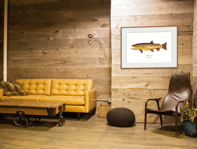 varek.illustrations - Affiche La Truite Fario