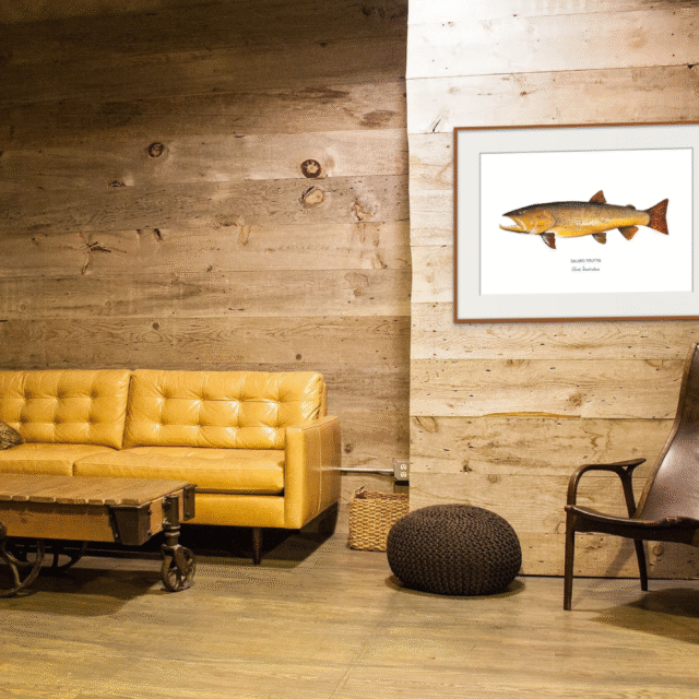 varek.illustrations - Affiche La Truite Fario