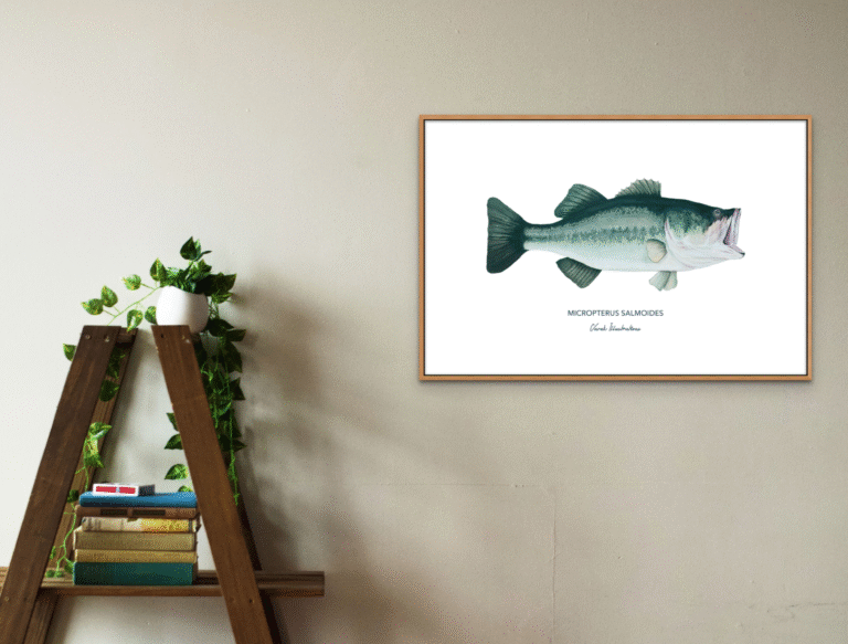 varek.illustrations - Affiche Le Black Bass