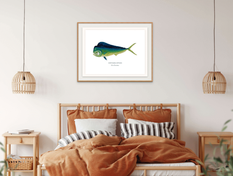 varek.illustrations - Affiche Le Mahi Mahi