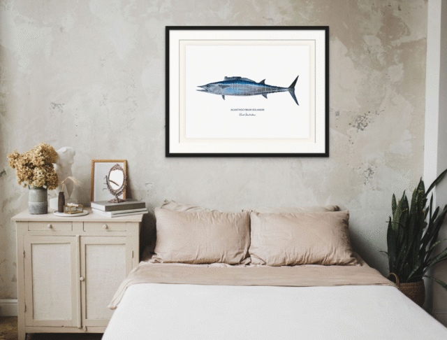 varek.illustrations - Affiche Le Wahoo