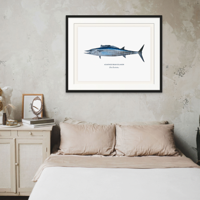 varek.illustrations - Affiche Le Wahoo