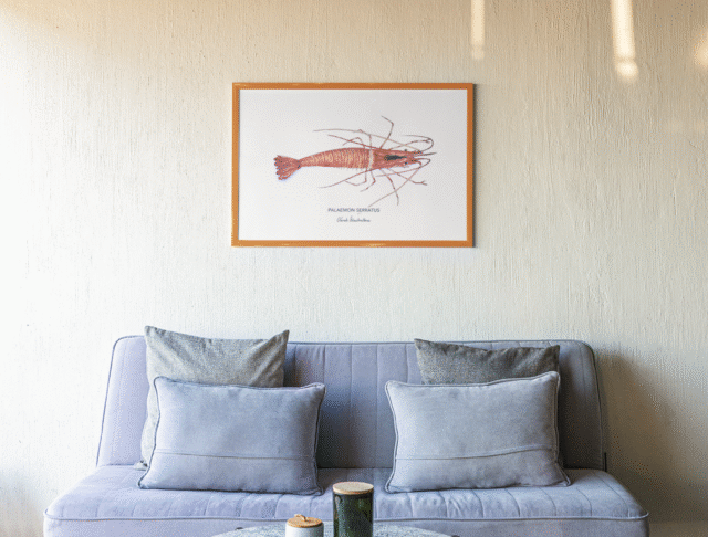 varek.illustrations - Affiche La Crevette