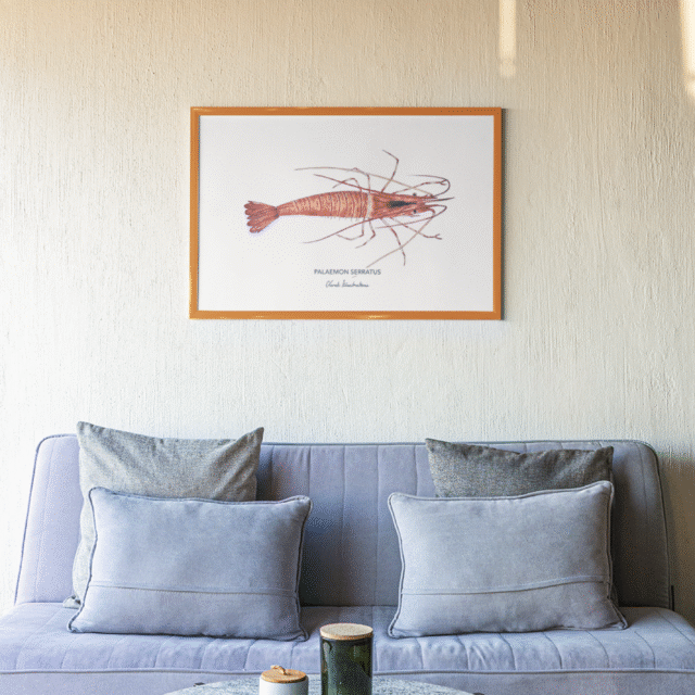 varek.illustrations - Affiche La Crevette