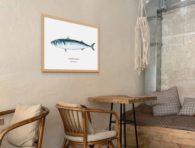 varek.illustrations - Affiche Le Maquereau