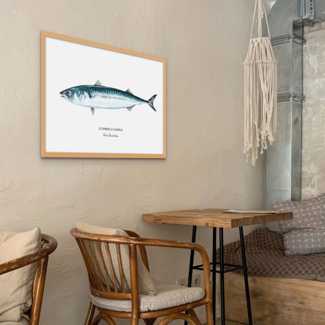 varek.illustrations - Affiche Le Maquereau