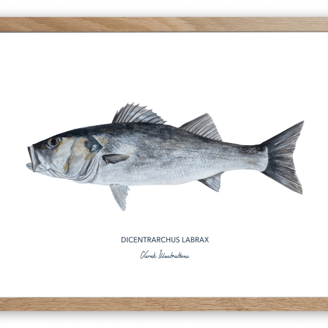 varek.illustrations - Affiche Le Bar