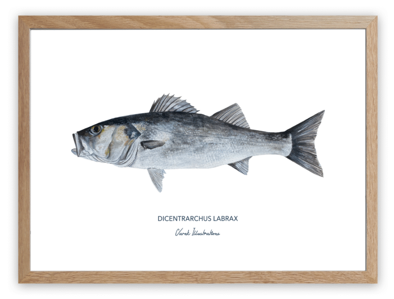 varek.illustrations - Affiche Le Bar