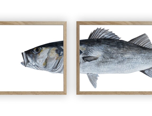 varek.illustrations - Triptyque Bar