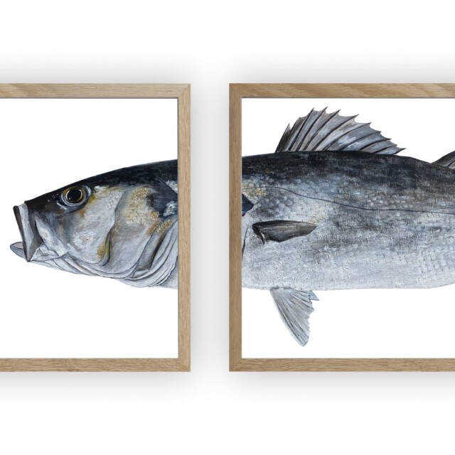 varek.illustrations - Triptyque Bar
