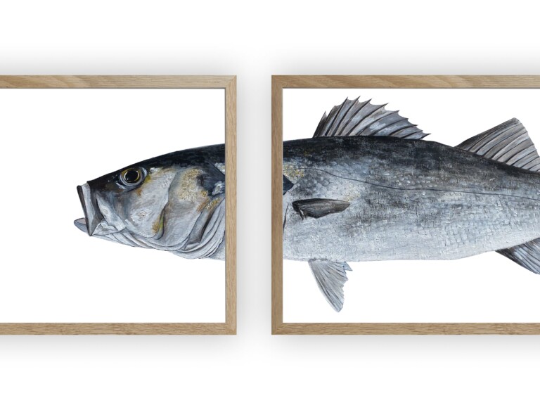varek.illustrations - Triptyque Bar