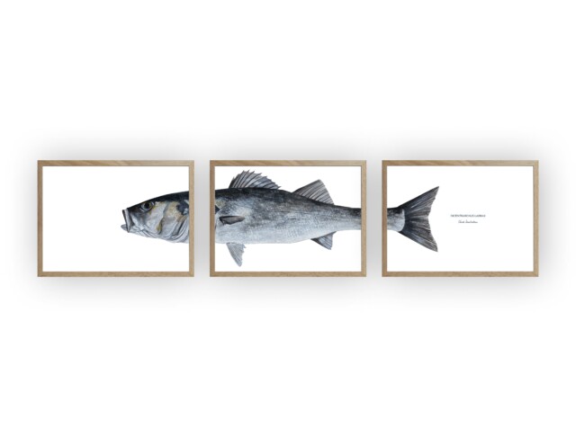 varek.illustrations - Triptyque Bar