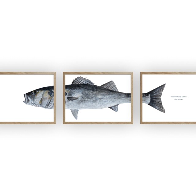 varek.illustrations - Triptyque Bar