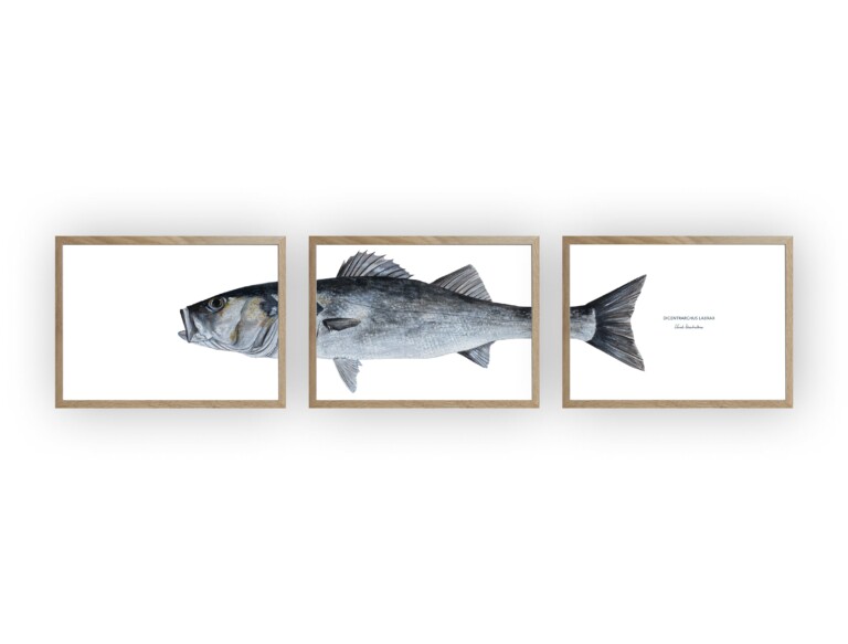 varek.illustrations - Triptyque Bar