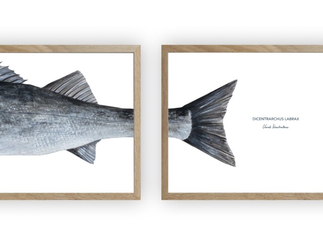 varek.illustrations - Triptyque Bar